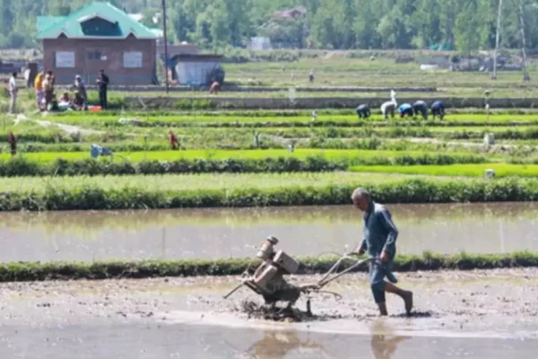 CM किसान योजना नुआखाई 2025