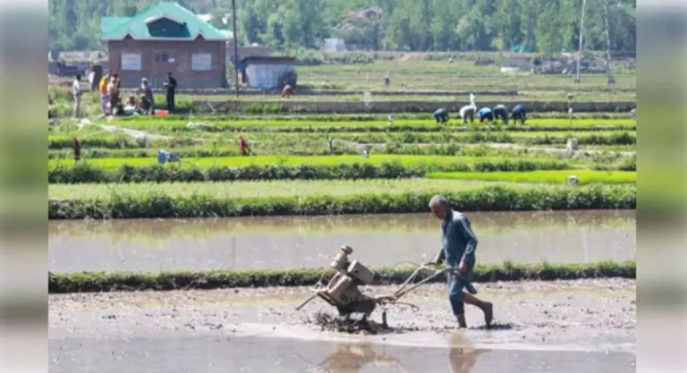 CM किसान योजना नुआखाई 2025