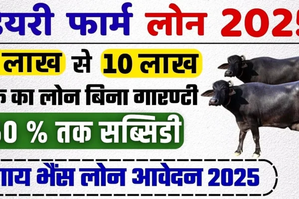 डेरी फार्मिंग लोन 2025