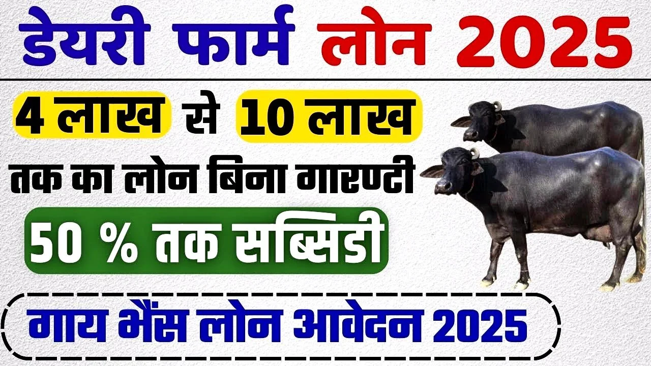 डेरी फार्मिंग लोन 2025